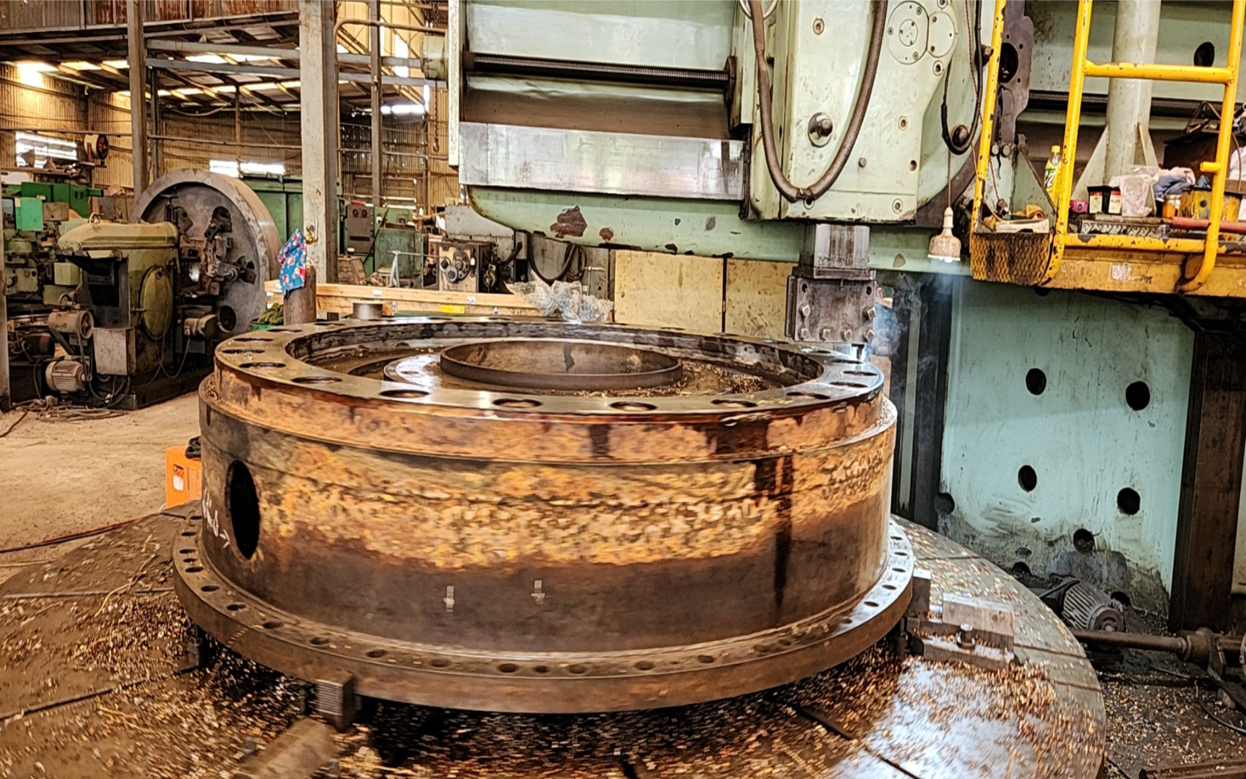 gia-cong-bu-ly-co-lon